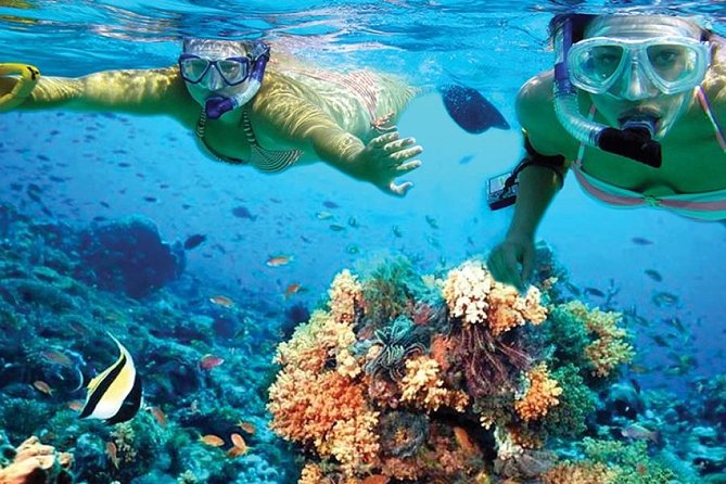 Isla Mujeres tour in a Catamaran with snorkel, open bar, lunch - Isla Mujeres beach club: lunch, drinks, and downtime you can actually use