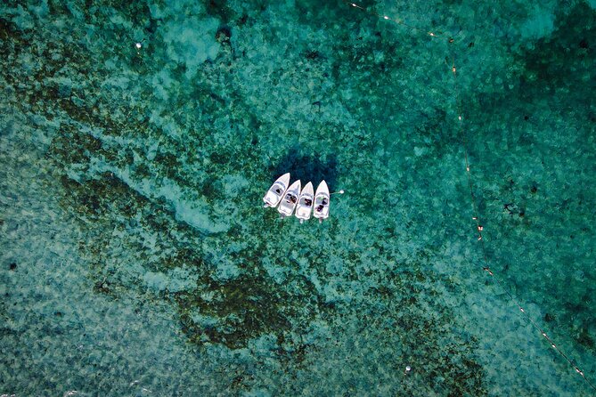 Jungle Tour & Snorkel at Punta Nizuc Reef , Underwater museum - Driving your own speedboat through mangroves