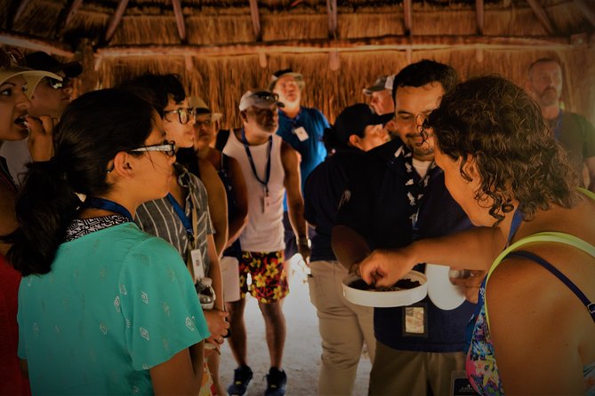 Kaan Luum & Cenotes Mayan Traditions - Who This Tour Fits Best (and Who Might Prefer Something Else)