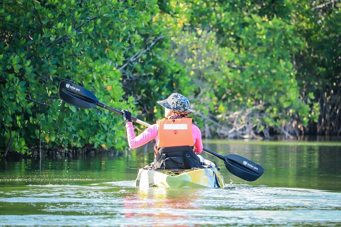 Kayak Adventure in Cancun - Paddle Time Through Mangrove Channels: What the Water Experience Feels Like