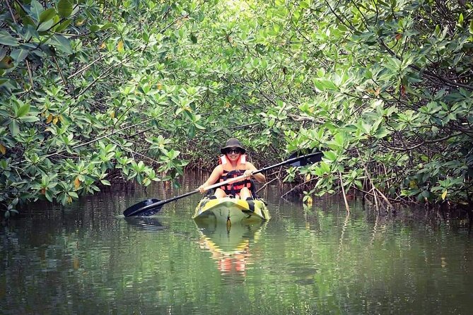 Kayak Adventure in Cancun - Price and Value: Does $47.73 Make Sense?