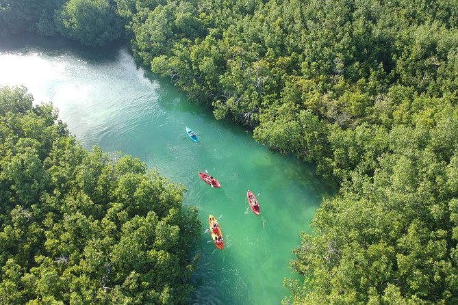 Kayak adventure through Laguna Nichupté in Cancun - The Paddling Plan: 3 Hours, Gentle Pace, and Clear Stops