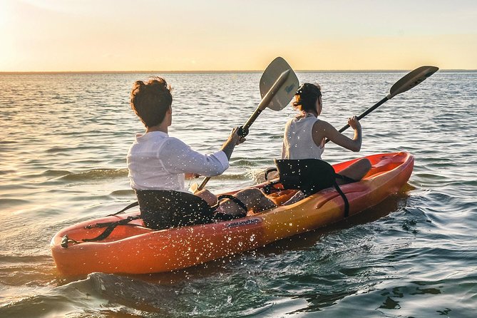 Kayak adventure through Laguna Nichupté in Cancun - Price and Logistics: What $52.46 Gets You