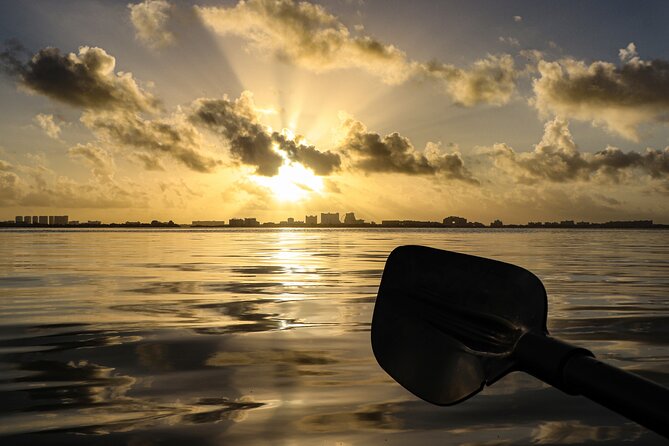 Kayak Tour at Sunset in Cancun - Who This Kayak Tour Is Best For (And Who Might Want Another Option)