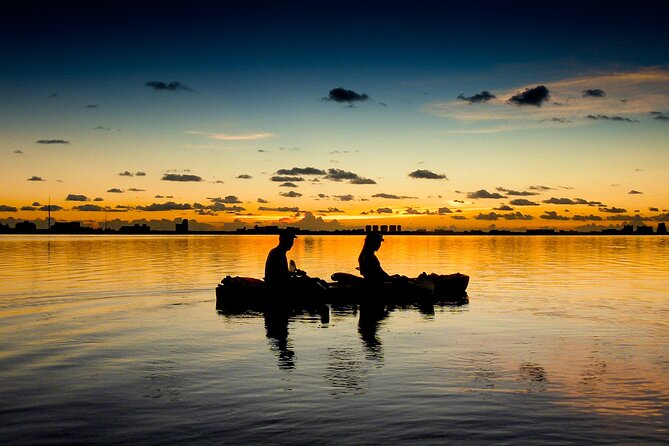 Kayak Tour at Sunset in Cancun - Price and Value: Is $50.12 a Good Deal?
