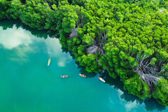 Kayak Tour at Sunset in Cancun - Final Take: Should You Book This Sunset Kayak Tour?