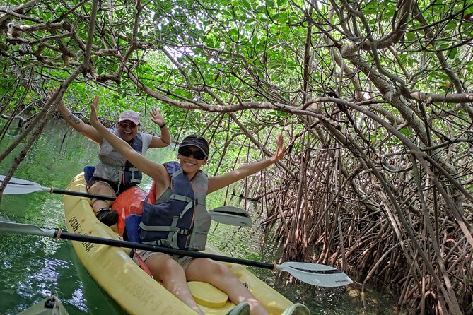 Kayak TOUR POR Laguna Nichupte Cancun - Wildlife and scenery: what you might see in the mangroves