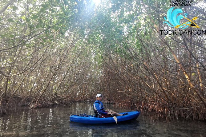 Kayak TOUR POR Laguna Nichupte Cancun - Who should book this kayak tour, and who should think twice
