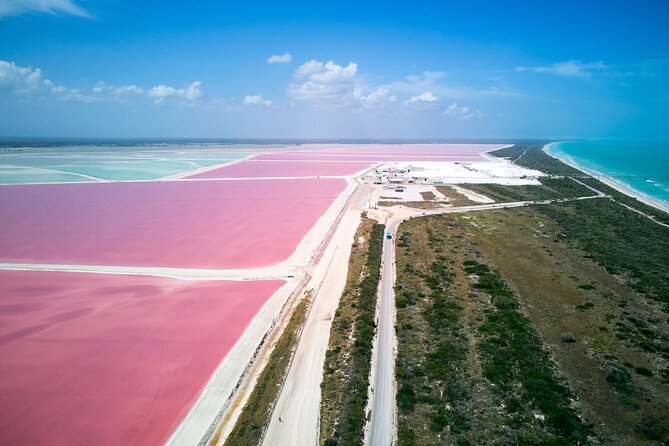 Las Coloradas Pink Lake & Rio Lagartos Guided Tour - Las Coloradas pink lake: flamingos, clay bath, and the salt-tax reality