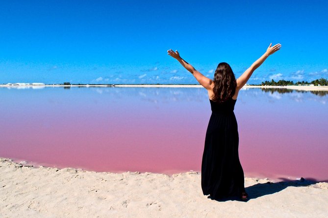 Las Coloradas Tour! Boat Ride, Lunch & Rio Lagartos from Cancun - The Boat Ride Through Ría Lagartos: Wildlife on a Slow Track