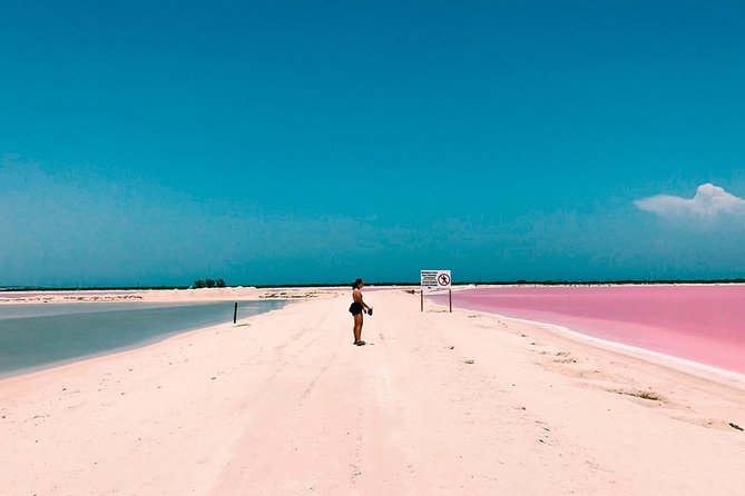 Las Coloradas Tour! Boat Ride, Lunch & Rio Lagartos from Cancun - Price and Value: What You’re Really Paying For