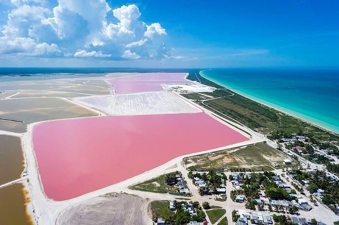 Las Coloradas Tour! Boat Ride, Lunch & Rio Lagartos from Cancun - Stop 1 at Las Coloradas: Pink Lakes, Salt Stories, and Flamingos