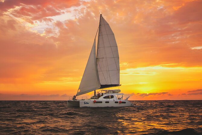 Luxury Sunset Sailing Cruise in Cancun with Light Dinner and Open Bar - Boarding experience on a catamaran: comfort, sightlines, and crew attention