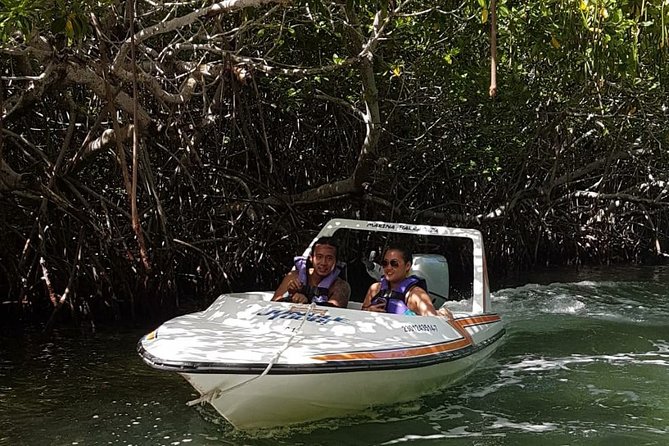 Mangrove and Lagoon Speed Boat Tour - Price and the dock toll: the part to budget like a pro