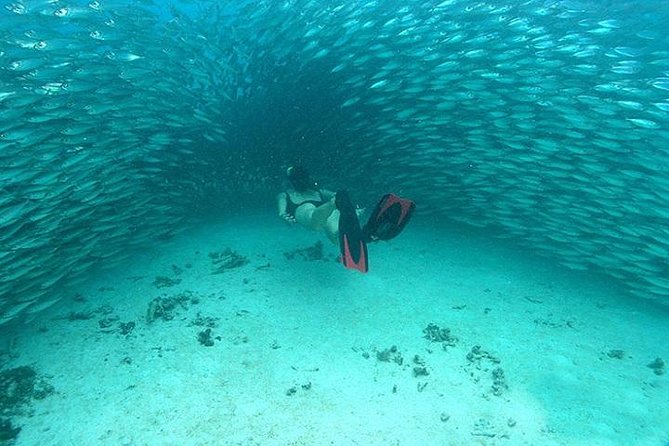 Mayan Adventure from Cancun - Price and Value: What the Inclusions Actually Mean