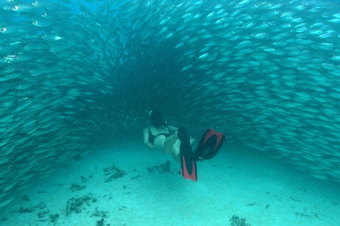 Mayan Adventure from Playa del Carmen - Why this tour feels different from a standard Cancun snorkel day