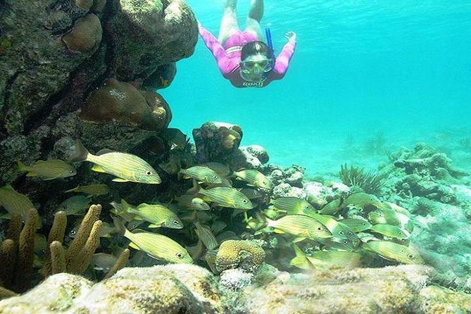 Mayan Adventure from Playa del Carmen - Cenote time: swimming in a freshwater sinkhole pool