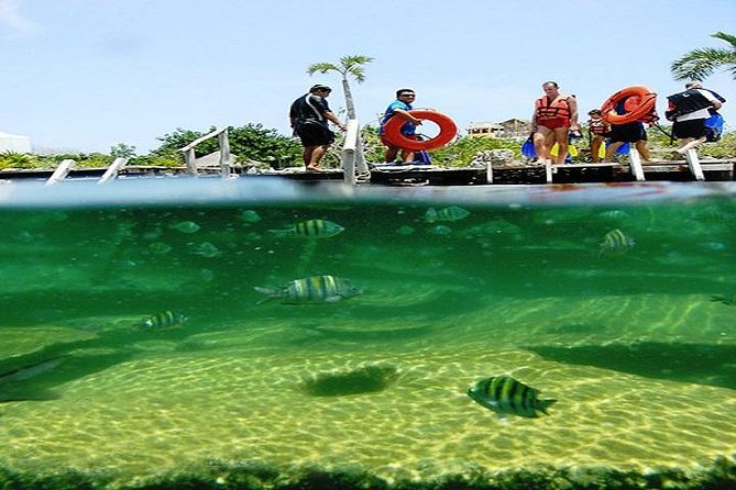 Mayan Adventure from Playa del Carmen - The part that matters most: your swimming ability and comfort level