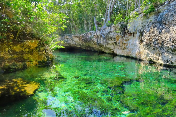 Mayan Cenotes Experience with Mayan Ruins or Local Community - Cenote Caracol: snorkeling gear and what those water types mean