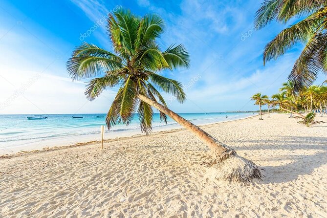 Mother Nature, Tulum and beach paradise with lunch - Playa Paraíso: Eden-of-Tulum beach time in the Caribbean