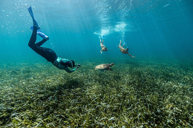 Parasailingcancun and Jet Ski tour over Cancun Bay - Pace and Group Control: When Snorkeling Feels Rushed