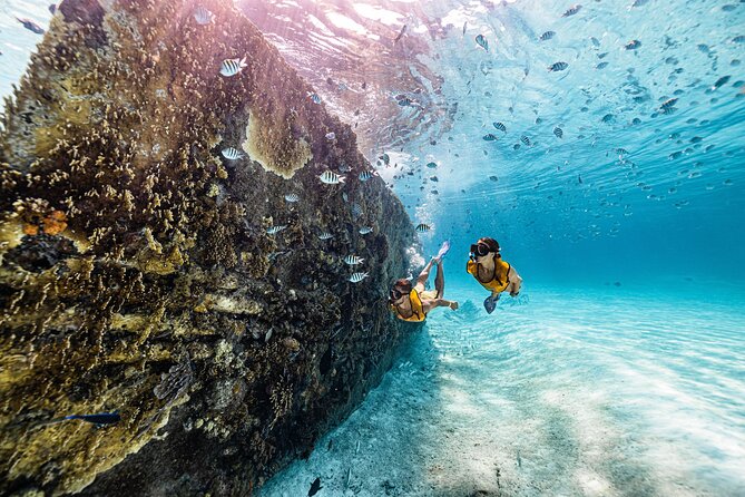 Parasailingcancun and Jet Ski tour over Cancun Bay - Gear Notes: Masks, Flippers, and That Icy-Truth Checklist