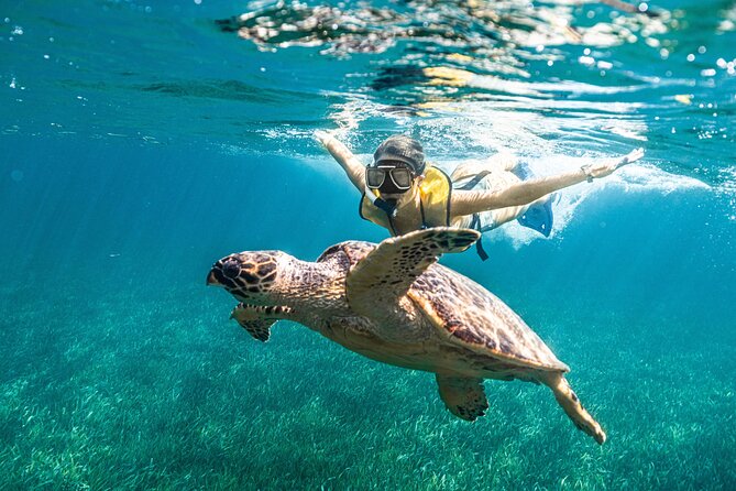 Parasailingcancun and Jet Ski tour over Cancun Bay - Jet Ski After Snorkeling: Your 30 Minutes of Control