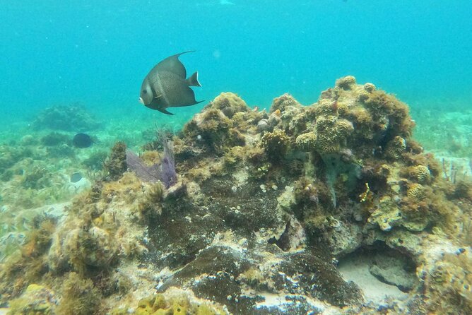 Premium Isla Mujeres Tour by Private Catamaran - Playa Tortugas return and the open bar: relaxing, social, and time-limited