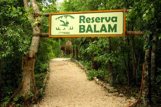Private Jungle Adventure tour: Zipline + Rappel + Cenote - Rappelling Into the Cenote: The Moment Everything Changes