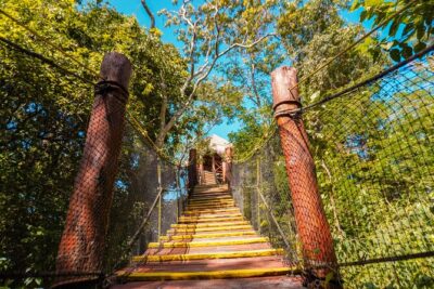 Private Jungle Adventure tour: Zipline + Rappel + Cenote - The Zipline Through the Jungle Canopy: Safety First, Views Always