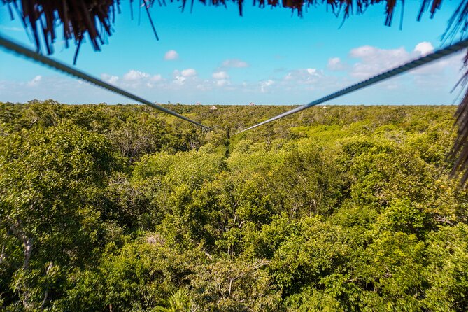 Private Jungle Adventure tour: Zipline + Rappel + Cenote - Price and Value: What $295 Gets You in Real Terms