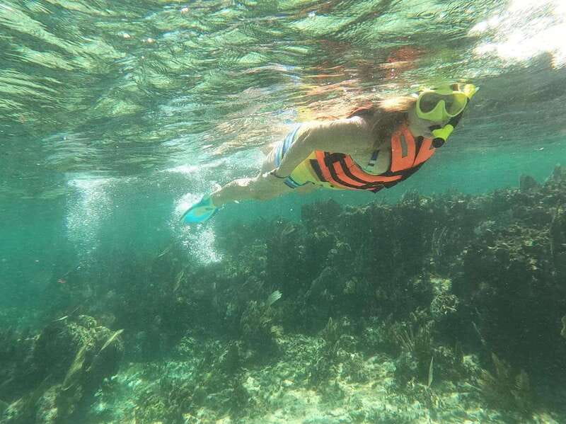 Puerto Morelos: Guided Snorkeling Tour with Gear & Fees - Gear, park fees, and bottled water: why $35 feels like value