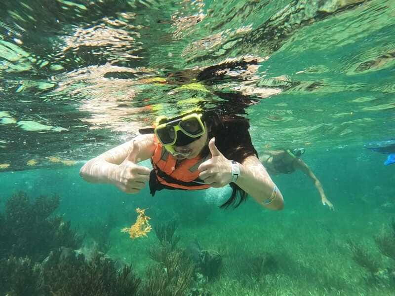 Puerto Morelos: Guided Snorkeling Tour with Gear & Fees - Two reef stops: how the underwater experience stays interesting