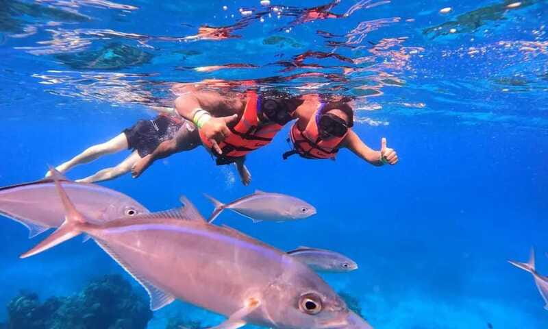 Puerto Morelos: Guided Snorkeling Tour with Gear & Fees - Safety and comfort: what to bring and what to expect in the water