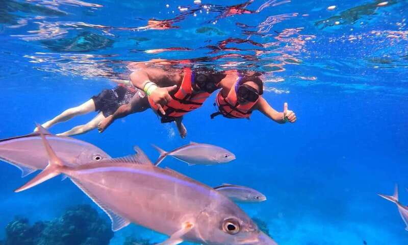 Puerto Morelos: Guided Snorkeling Tour with Gear & Fees - The 2-hour flow: check-in, briefing, two reef stops, back at Javier Rojo Gomez