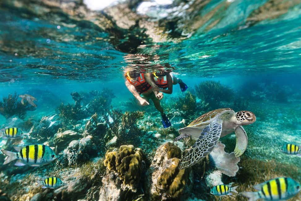 Puerto Morelos: National Reef Park Snorkeling & Beach Lunch - Key Things I’d Highlight Before You Book