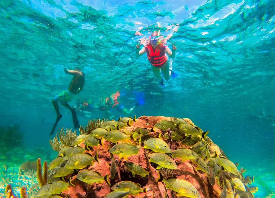 Puerto Morelos: National Reef Park Snorkeling & Beach Lunch - What to Bring (and What to Leave Off Your Bag)