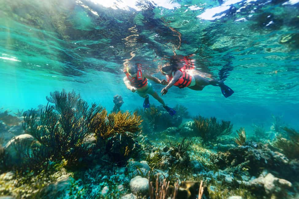 Puerto Morelos: Snorkel, Town Walk, Tequila & Beach Lunch - Snorkeling the Great Mayan Reef for about 80 minutes: what you’ll actually see