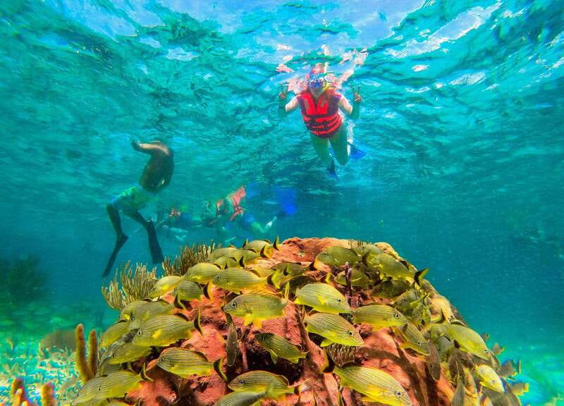 Puerto Morelos: Snorkel, Town Walk, Tequila & Beach Lunch - Gear rules and reef protection: no cameras, and why sunscreen is banned