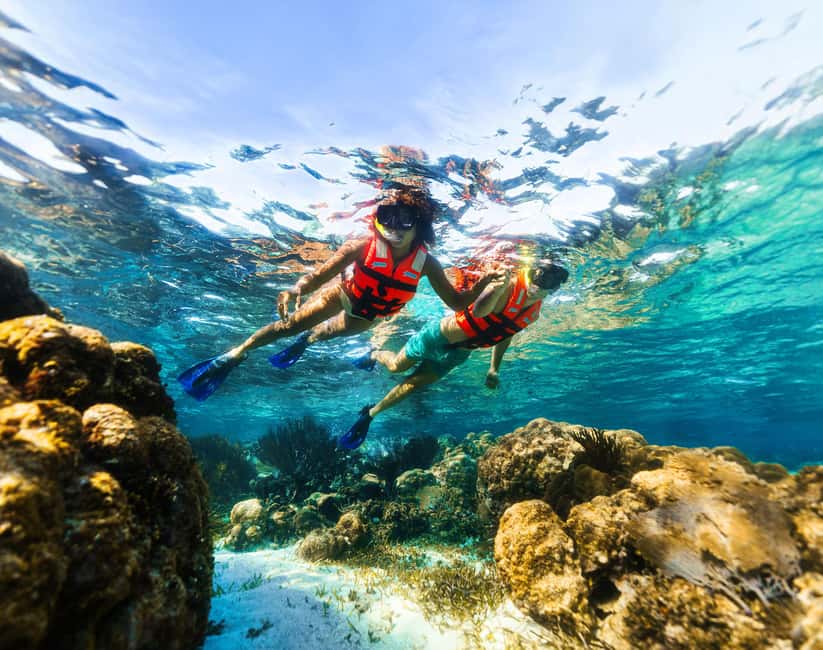 Puerto Morelos: Snorkel, Town Walk, Tequila & Beach Lunch - Tequila tasting and town walk: how the timing turns into fun