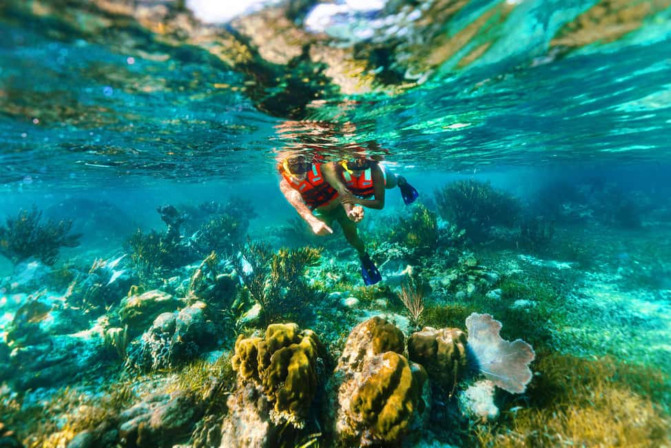 Puerto Morelos: Snorkel, Town Walk, Tequila & Beach Lunch - Lunch at Boquinete by the beach: tacos, water, and the art of not rushing