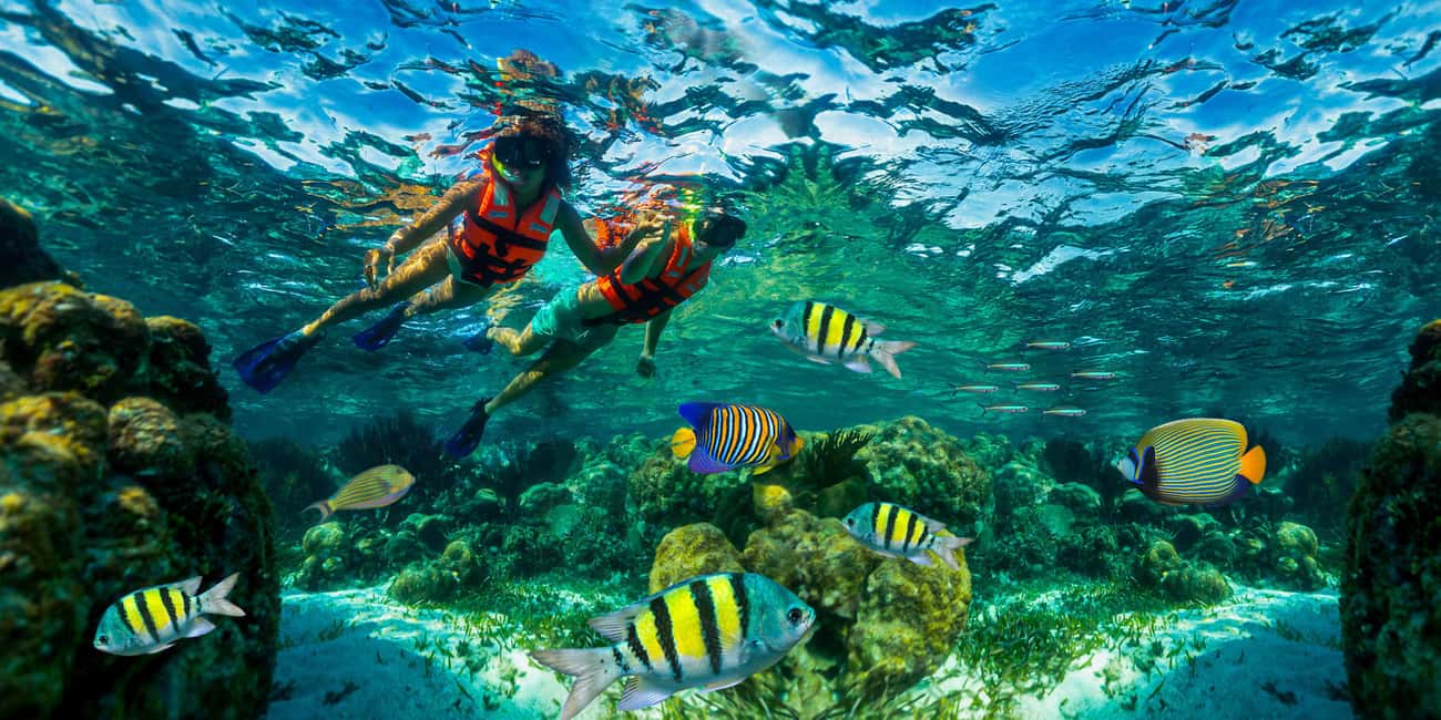 Puerto Morelos: Snorkel, Town Walk, Tequila & Beach Lunch - Cancun-area hotel pickup and that van rhythm