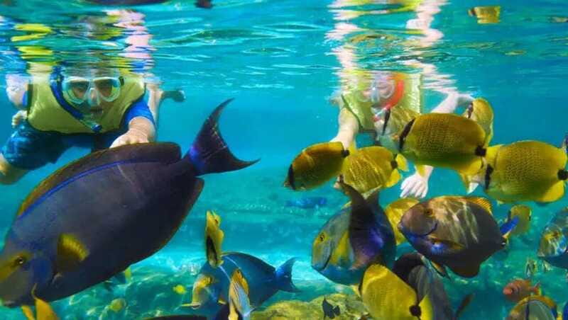 Puerto Morelos: Snorkeling at The National Reef Park - Snorkeling at two reef spots: what you’ll look for