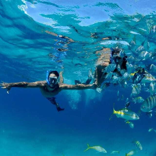 Puerto Morelos: Snorkeling at The National Reef Park - Timing, languages, and guide support you can count on