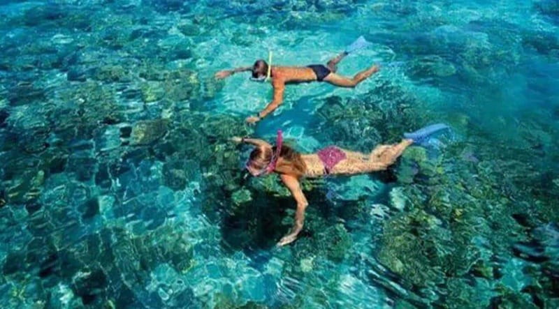 Puerto Morelos: Snorkeling at The National Reef Park - Meeting at Crazy Fish Tacos: how the 2 hours tends to feel