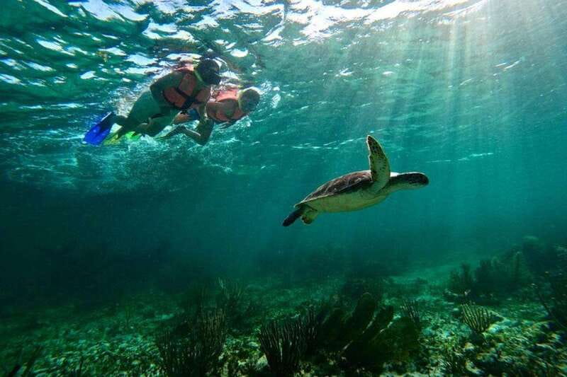 Puerto Morelos: Snorkeling Guided Activity - Key highlights you’ll feel right away