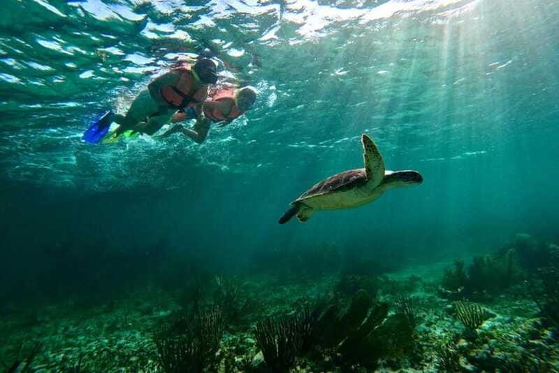 Puerto Morelos: Snorkeling Guided Activity - Price and value: what $35 buys you in real reef time