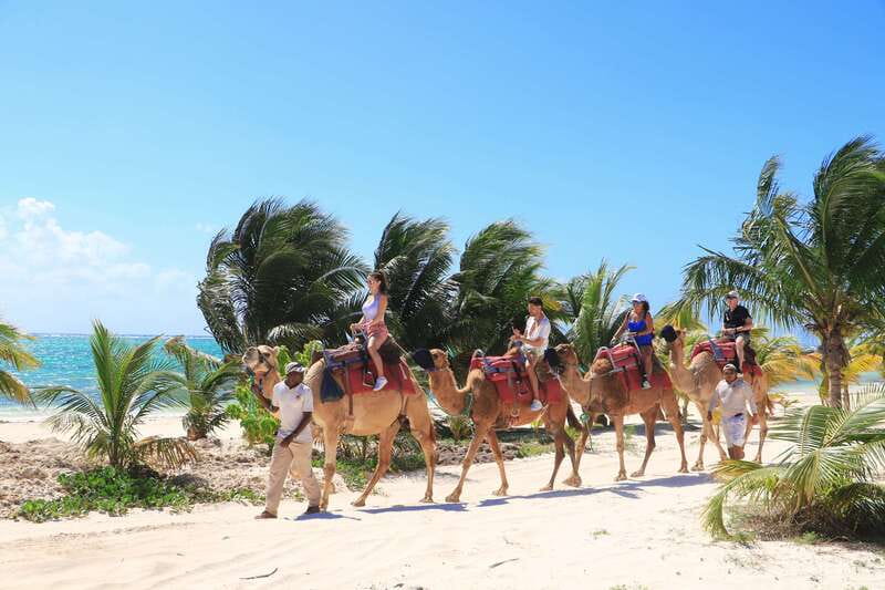 Riviera Maya: Camel Caravan Expedition and Beach Club Access - Practical packing list: what to bring so the ride stays fun