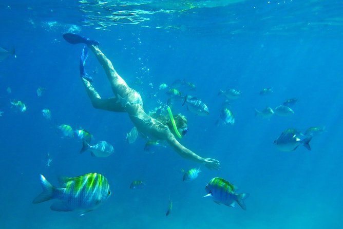 Riviera Maya Luxury Snorkeling Cruise with Lunch and Drinks - Lunch and Drinks on Deck: Open Bar Energy