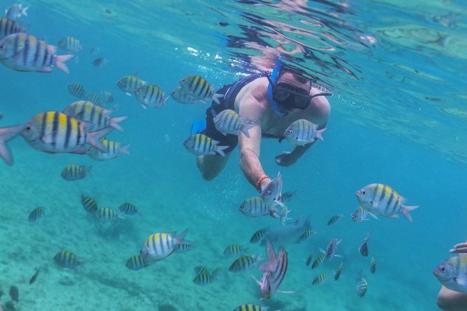 Riviera Maya Luxury Snorkeling Cruise with Lunch and Drinks - Weather, Sea Conditions, and Why Your Reef Time Can Shrink